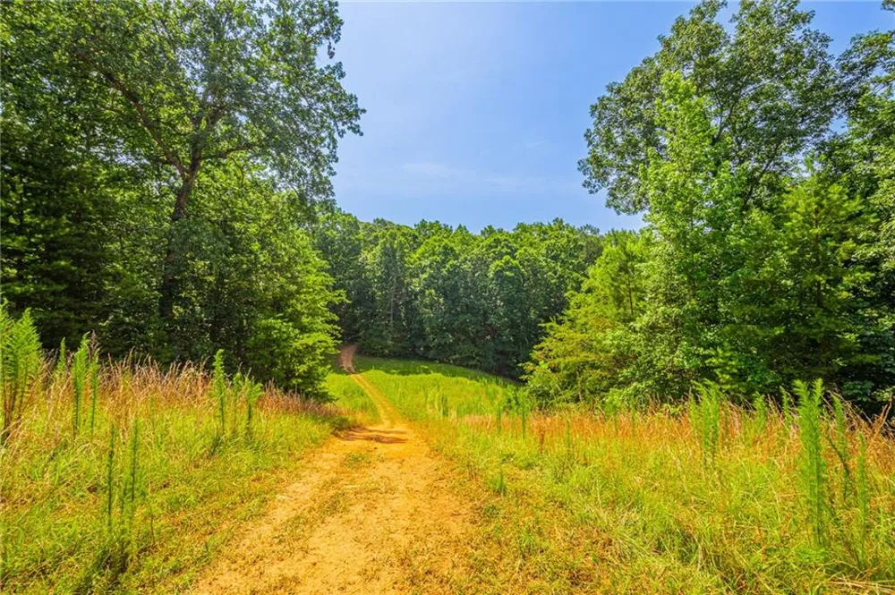 00 Old Cherokee Way Dawsonville, GA 30534