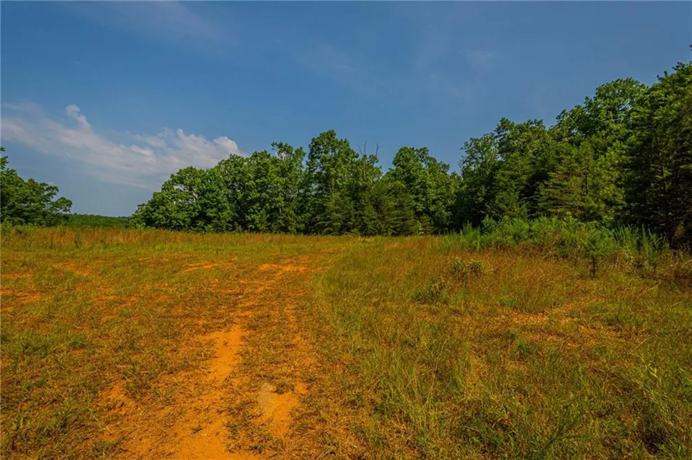00 Old Cherokee Way Dawsonville, GA 30534
