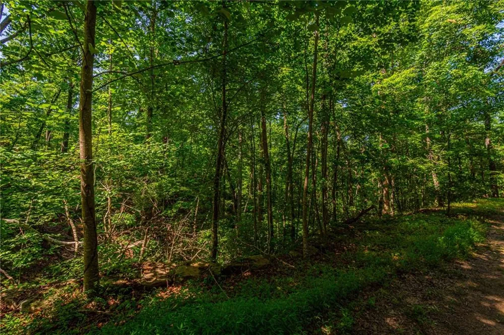 00 Old Cherokee Way Dawsonville, GA 30534