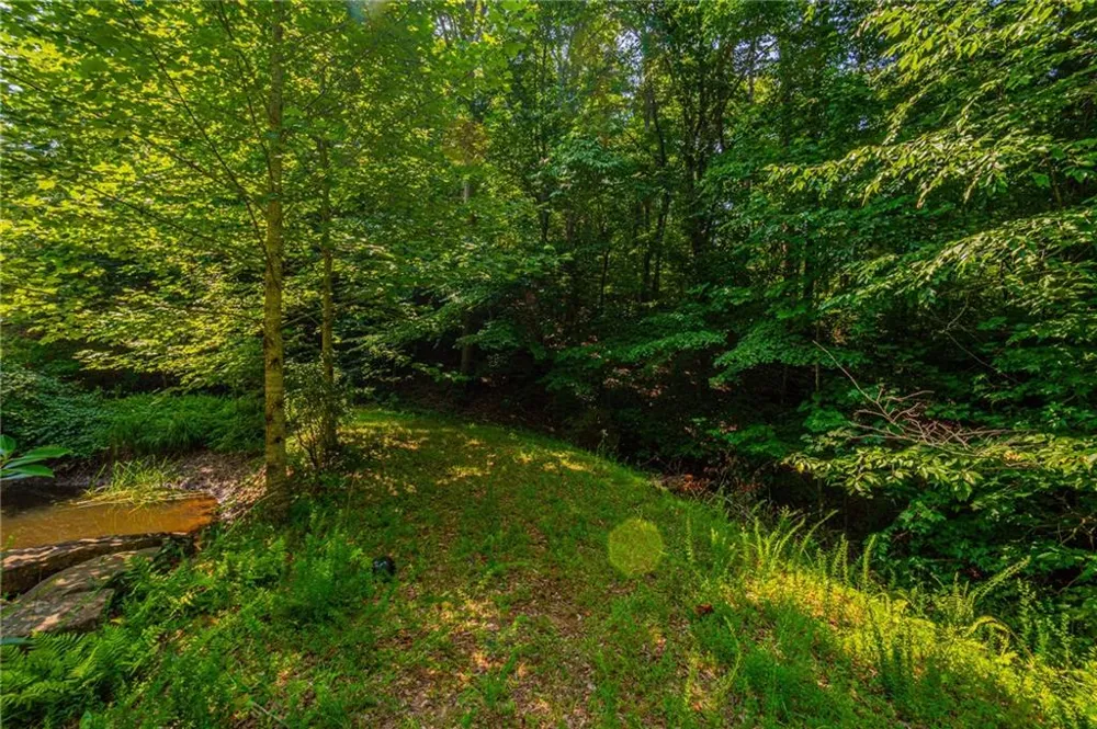00 Old Cherokee Way Dawsonville, GA 30534