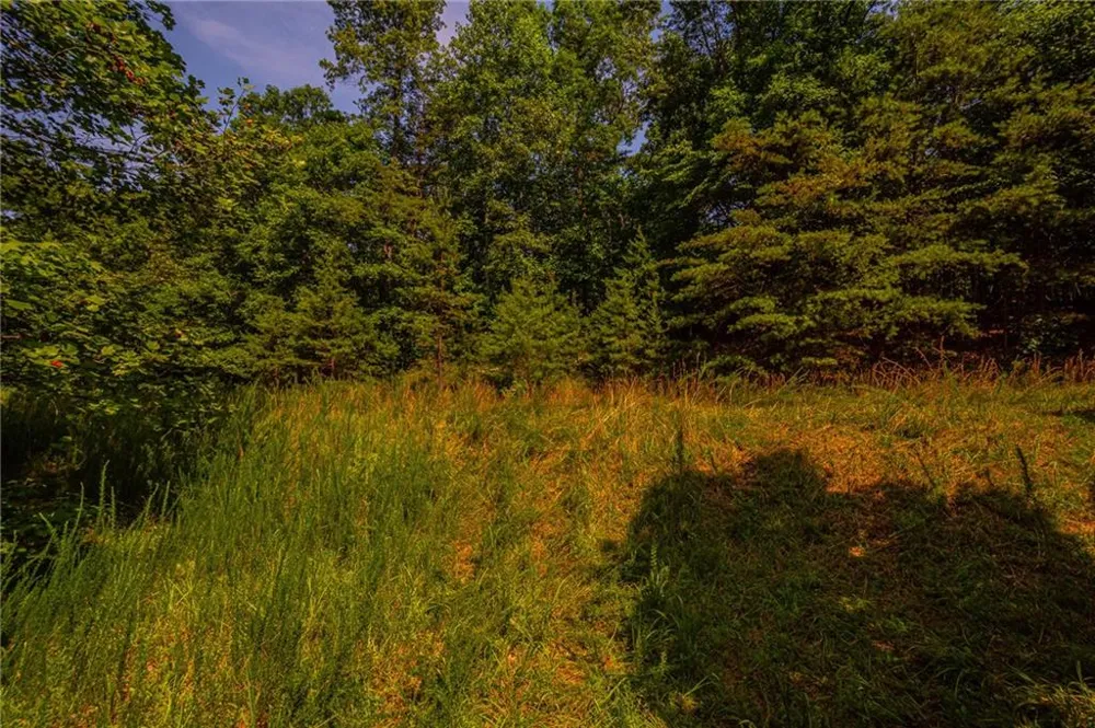 00 Old Cherokee Way Dawsonville, GA 30534