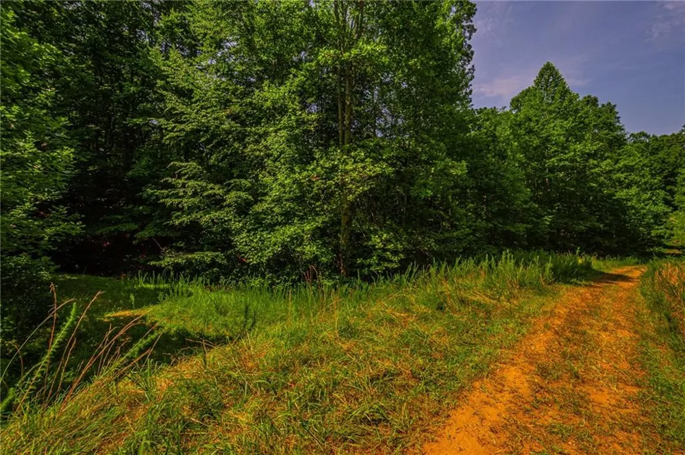 00 Old Cherokee Way Dawsonville, GA 30534