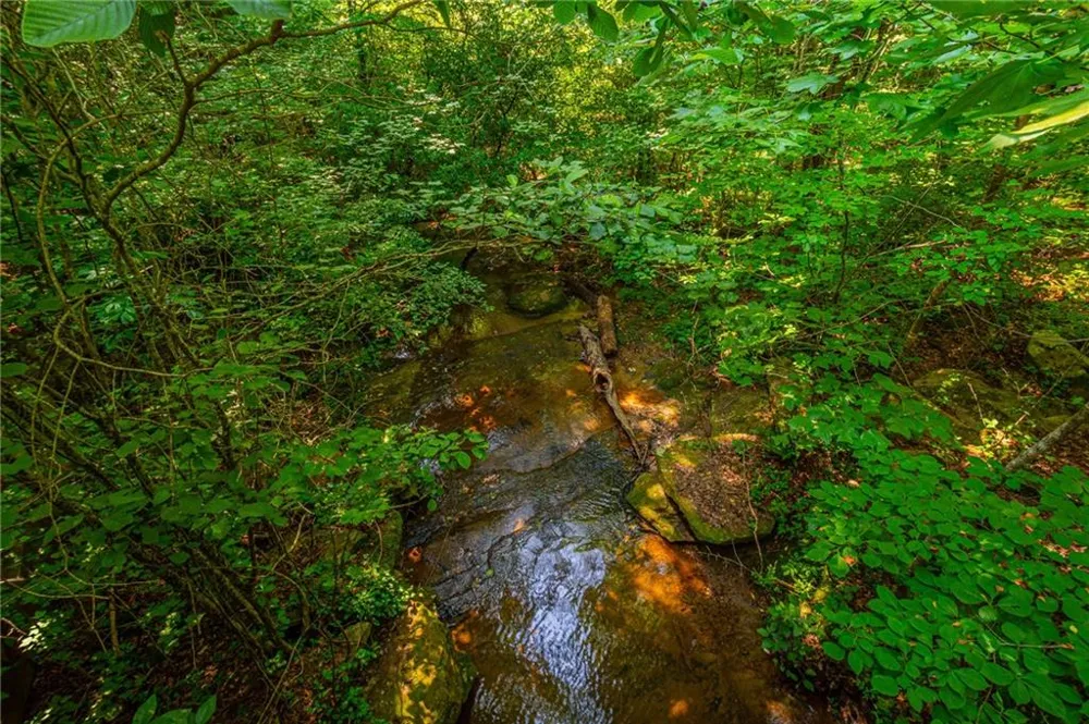 00 Old Cherokee Way Dawsonville, GA 30534