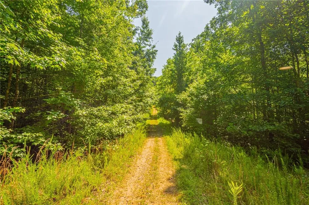 00 Old Cherokee Way Dawsonville, GA 30534