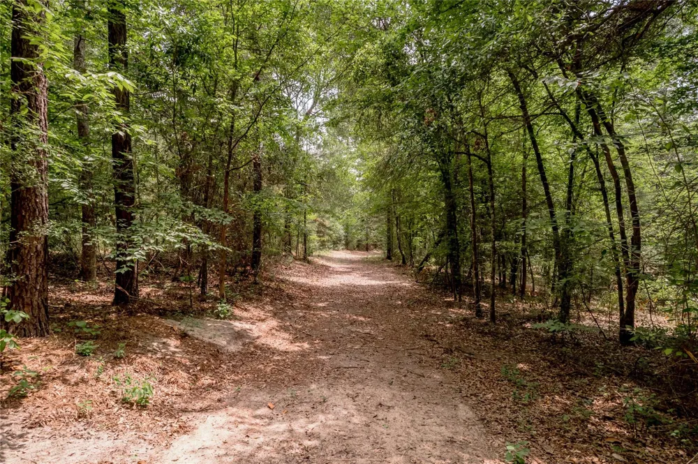 3134 Nursery Road Livingston, TX 77351