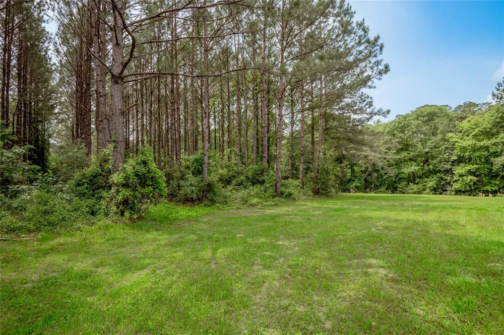 3134 Nursery Road Livingston, TX 77351