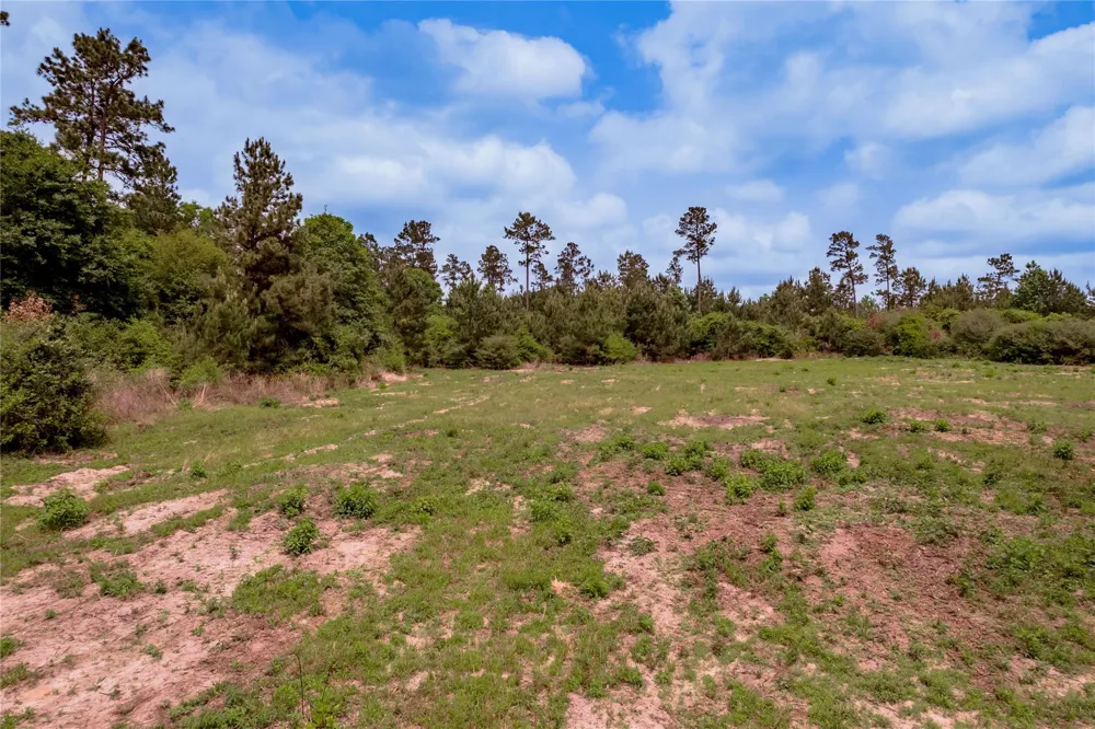 3134 Nursery Road Livingston, TX 77351