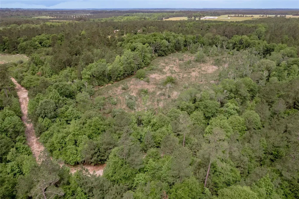3134 Nursery Road Livingston, TX 77351