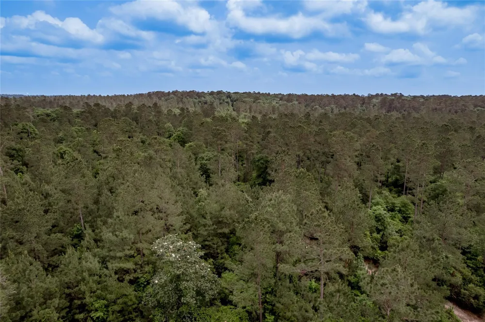 3134 Nursery Road Livingston, TX 77351