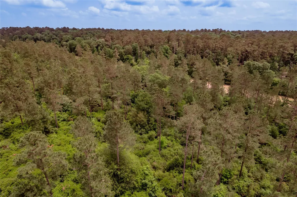3134 Nursery Road Livingston, TX 77351