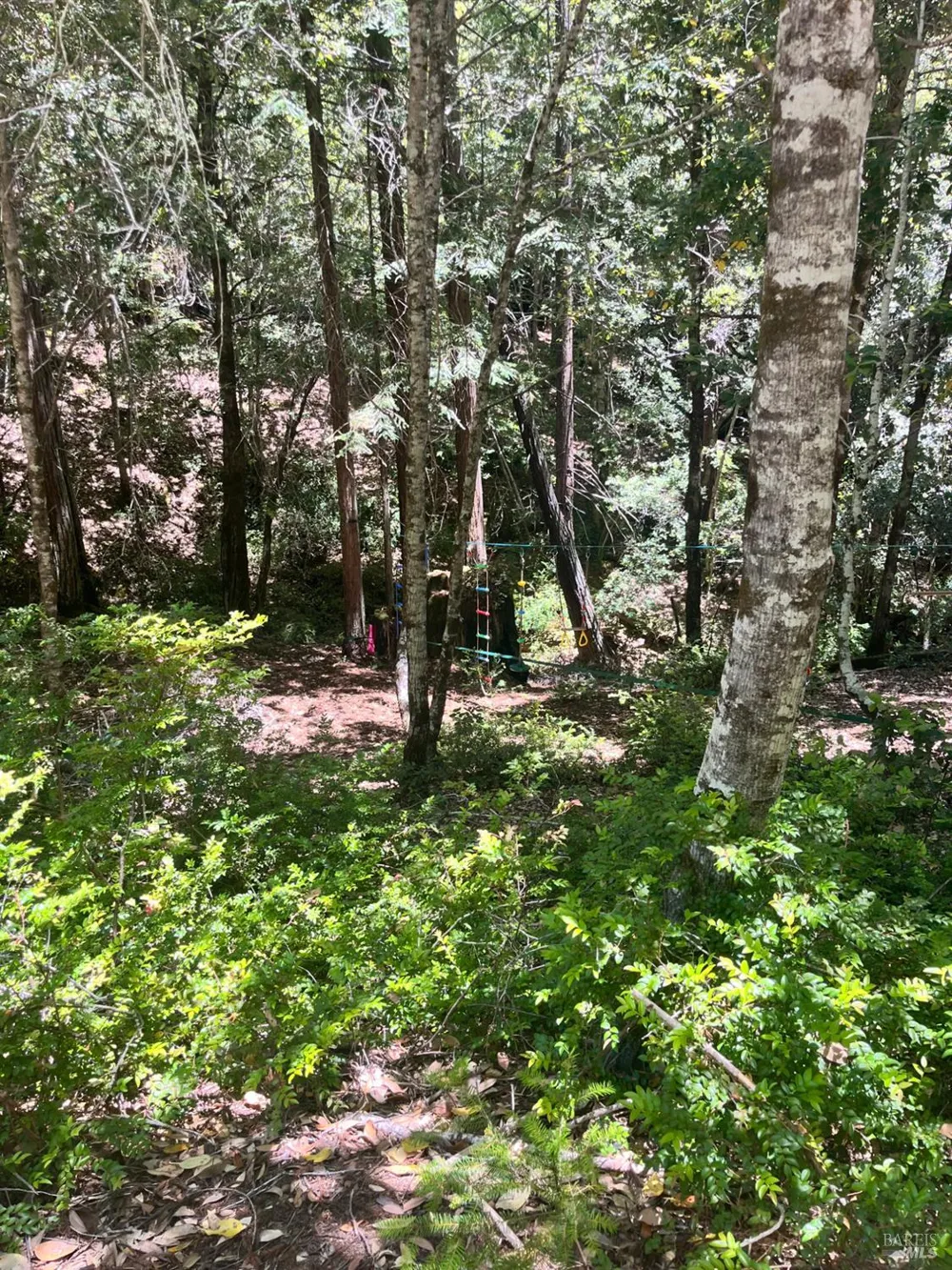 24413 Rose Terrace Willits, CA 95490