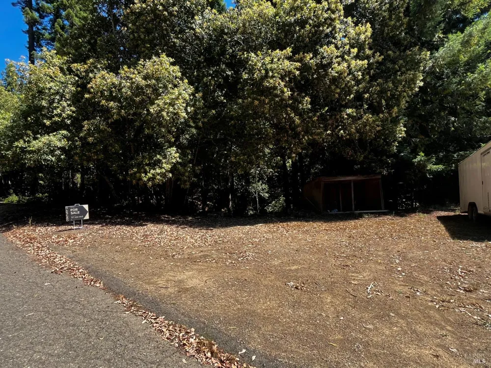 24413 Rose Terrace Willits, CA 95490