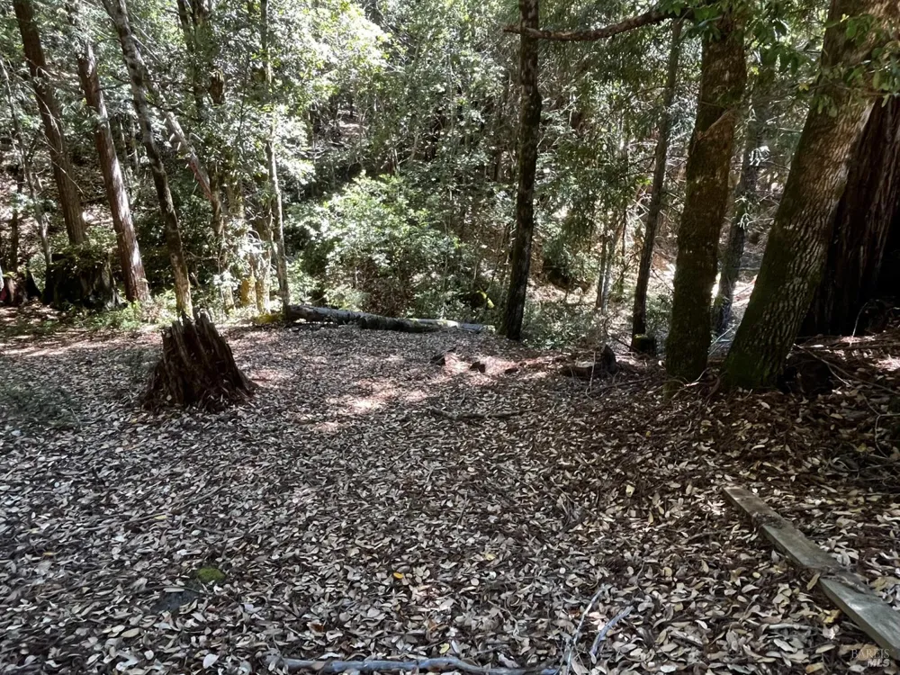 24413 Rose Terrace Willits, CA 95490