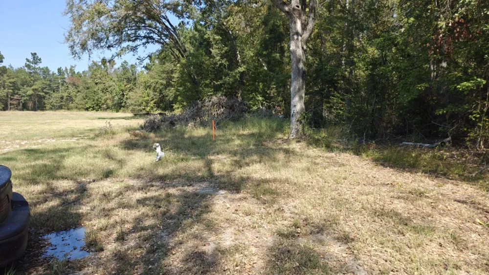 14915 County Road 26 Tyler, TX 75707