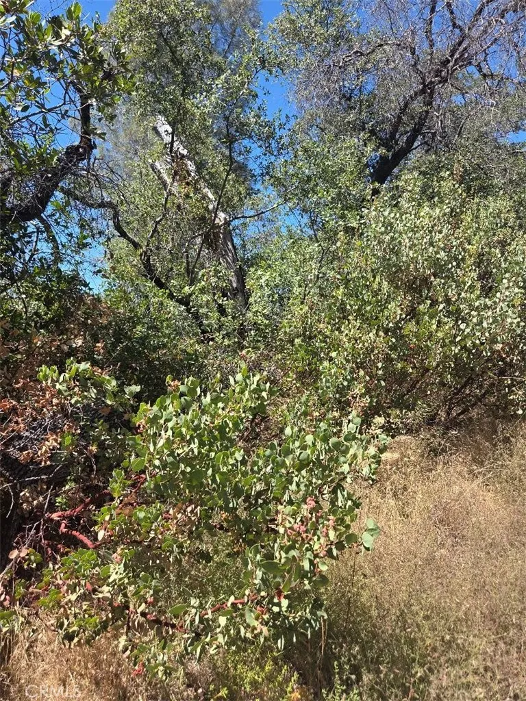 Roemelt Lane Oroville, CA 95966