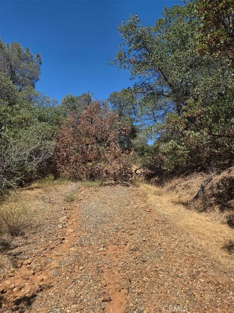 Roemelt Lane Oroville, CA 95966