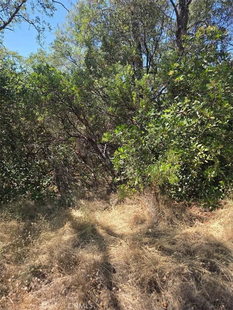 Roemelt Lane Oroville, CA 95966