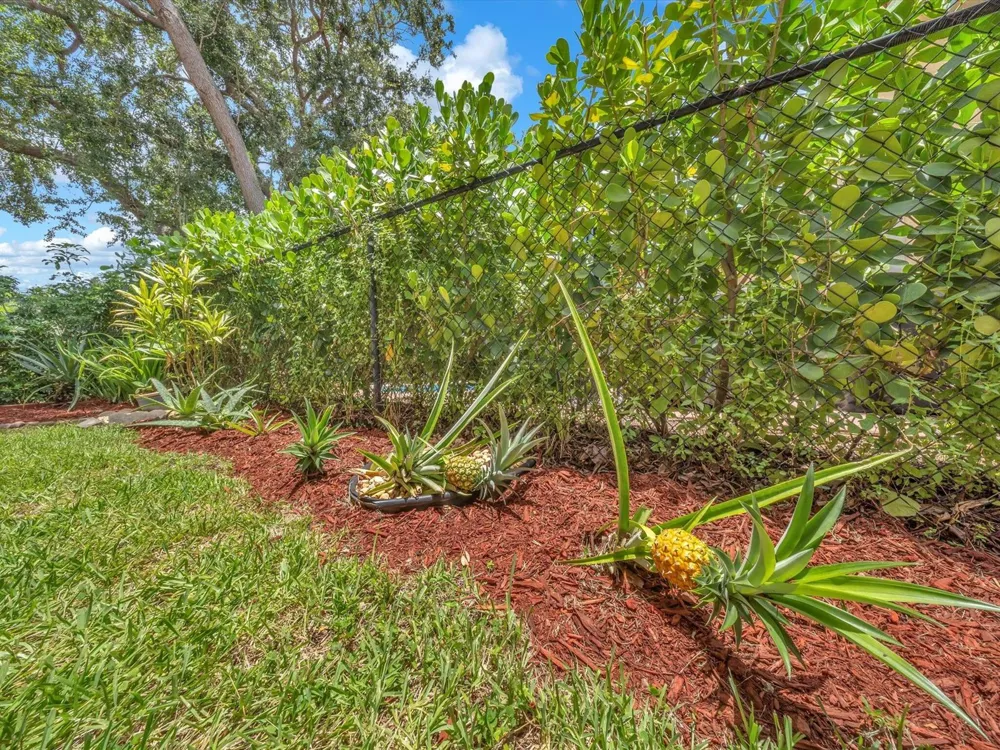 6029 NW 74th Street Parkland, FL 33067