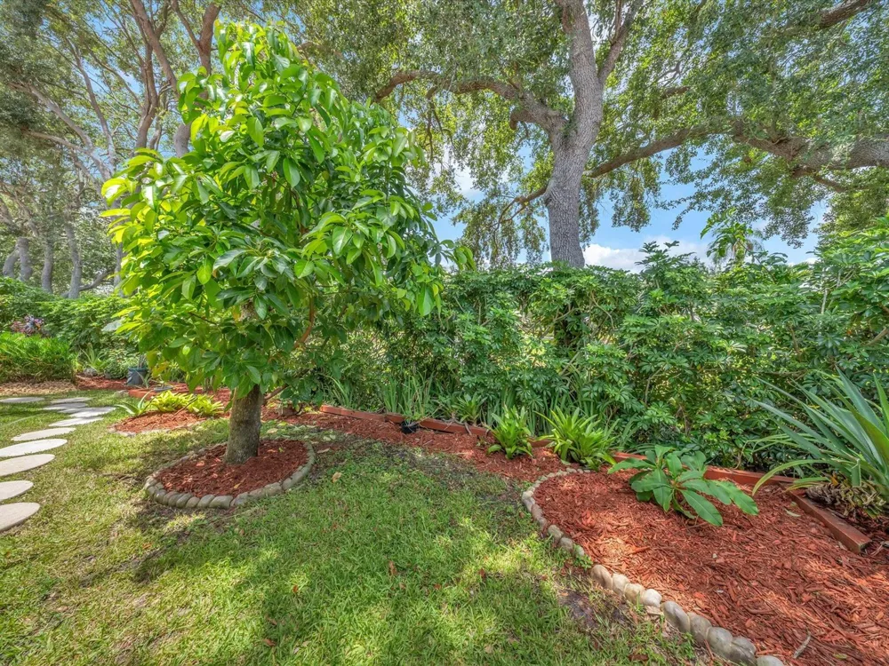 6029 NW 74th Street Parkland, FL 33067