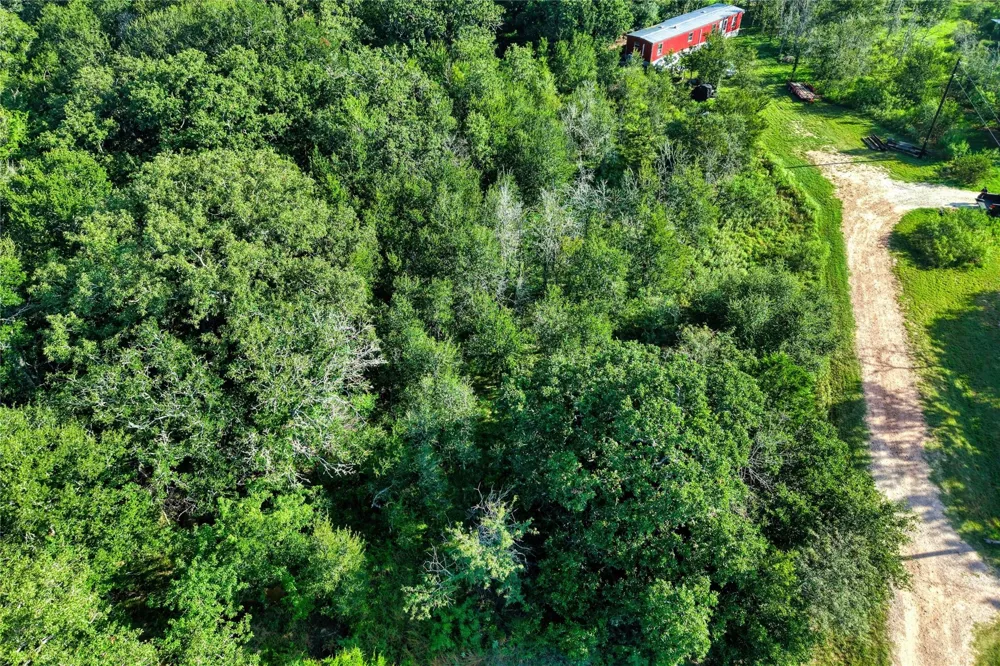 805 Wilderness Road Somerville, TX 77879