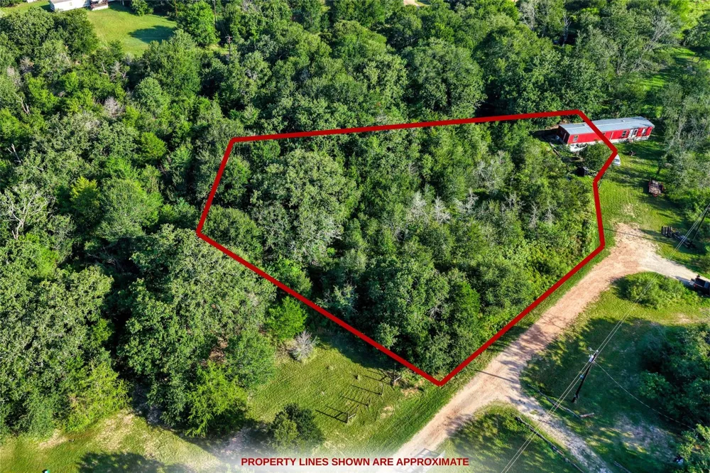805 Wilderness Road Somerville, TX 77879
