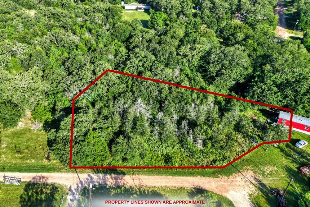 805 Wilderness Road Somerville, TX 77879
