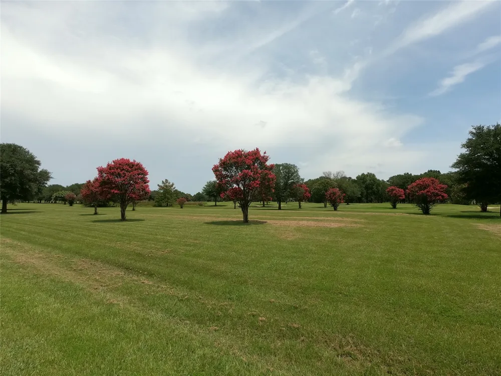 Private Road 5940 Emory, TX 75440