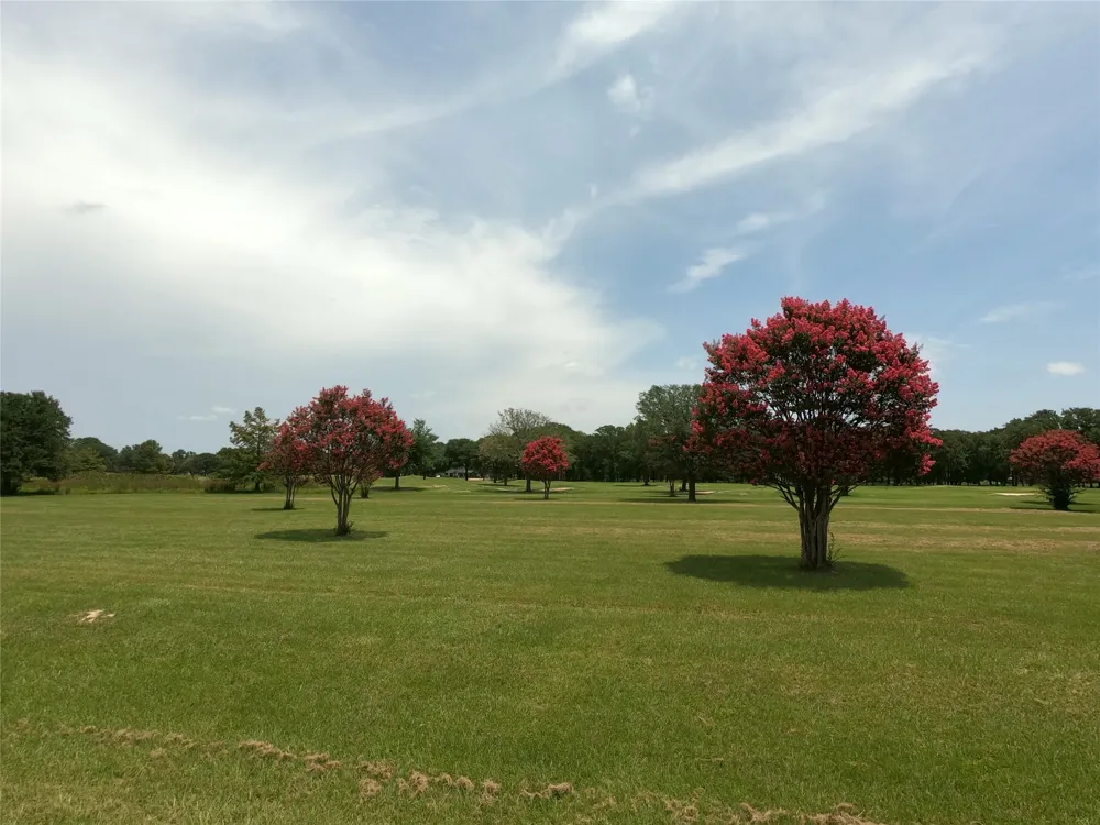 Private Road 5940 Emory, TX 75440