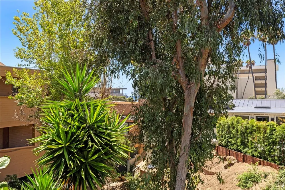 251 Calliope Street Laguna Beach, CA 92651