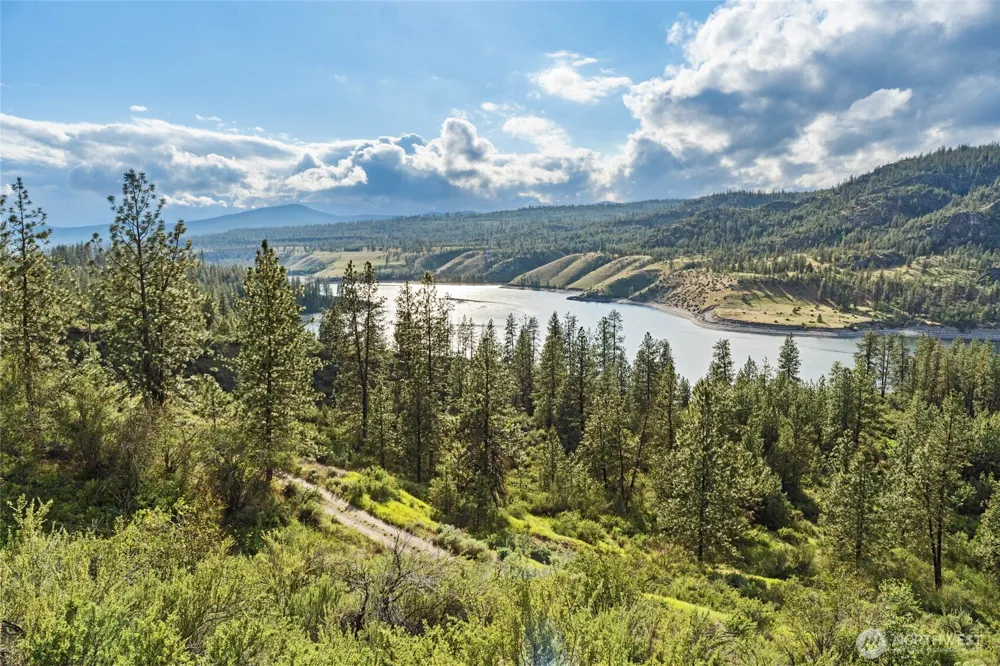 3390 X Winterwood Lane E Davenport, WA 99122