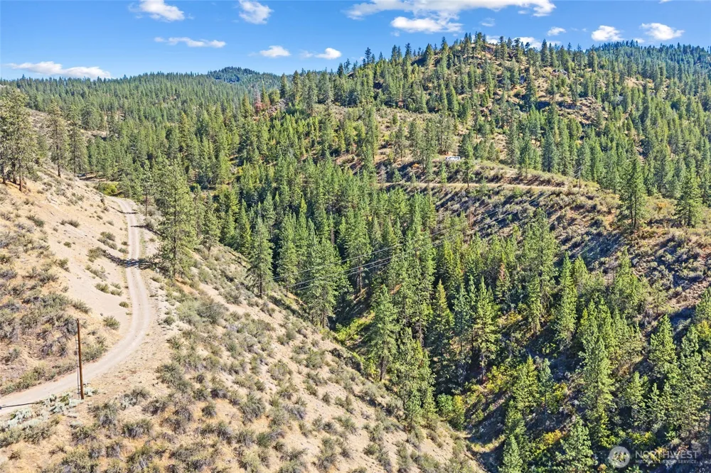 3390 X Winterwood Lane E Davenport, WA 99122
