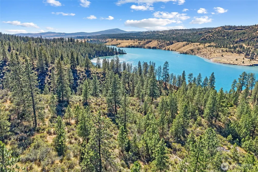 3390 X Winterwood Lane E Davenport, WA 99122