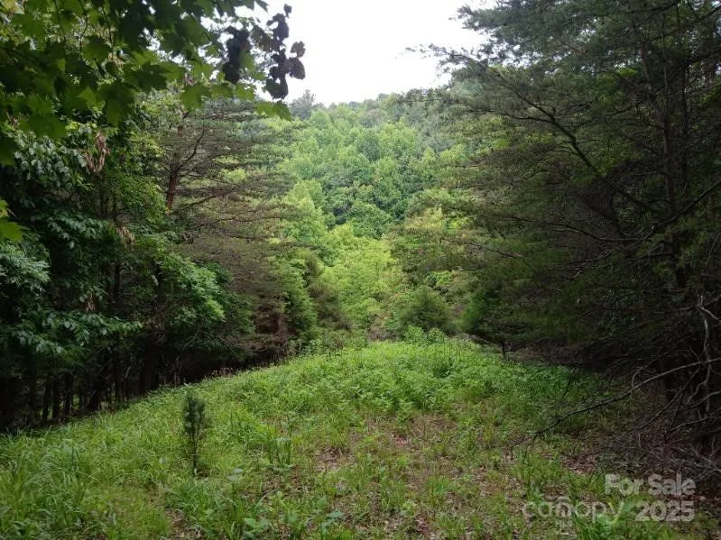 2255 NC Hwy 268 Highway W Wilkesboro, NC 28697