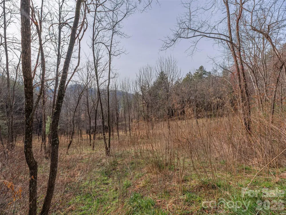 Lot 31 Hooper Cemetery Road Cullowhee, NC 28723