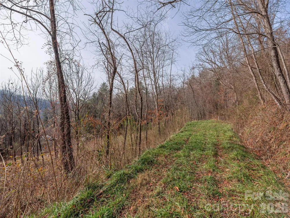 Lot 31 Hooper Cemetery Road Cullowhee, NC 28723