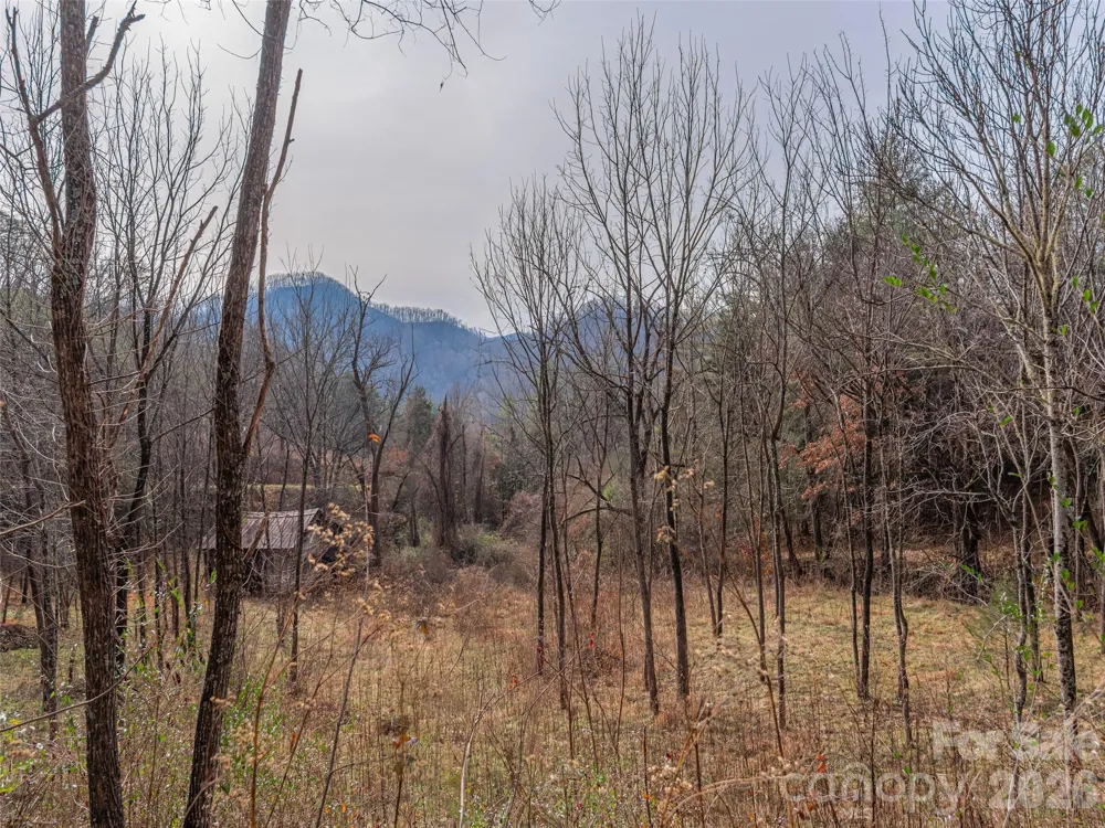 Lot 31 Hooper Cemetery Road Cullowhee, NC 28723