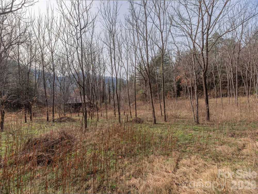 Lot 31 Hooper Cemetery Road Cullowhee, NC 28723