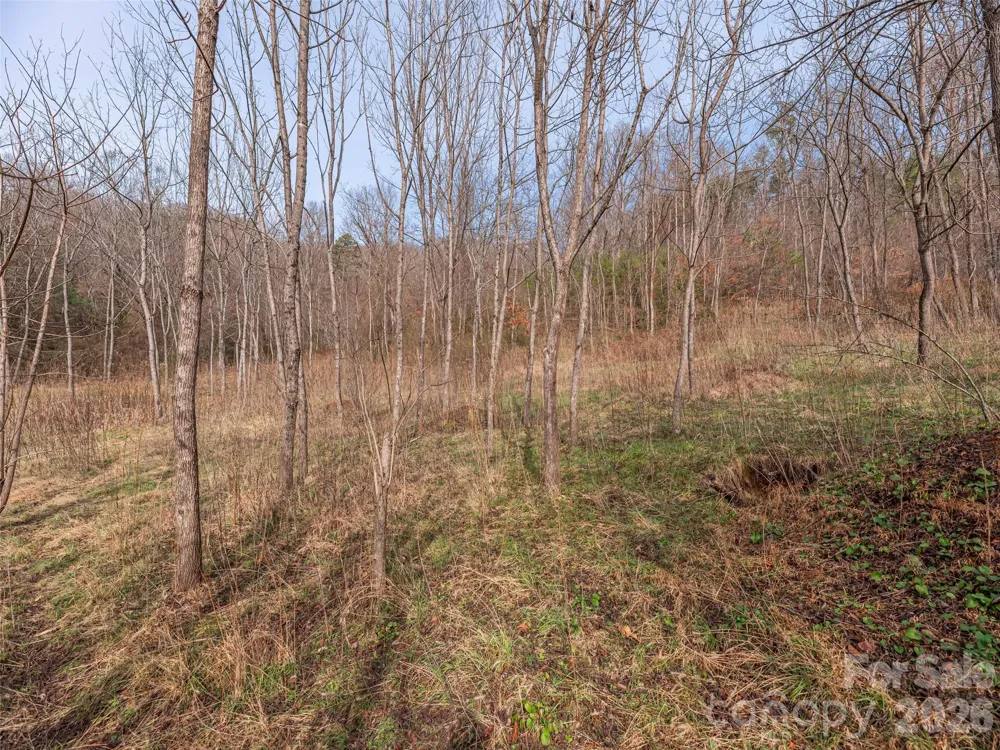Lot 31 Hooper Cemetery Road Cullowhee, NC 28723
