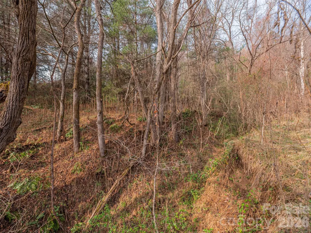 Lot 31 Hooper Cemetery Road Cullowhee, NC 28723