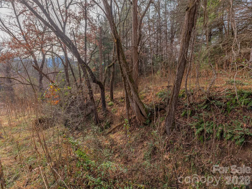 Lot 31 Hooper Cemetery Road Cullowhee, NC 28723