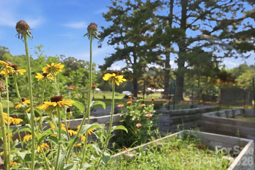 24654 Matton Grove Church Road Gold Hill, NC 28071