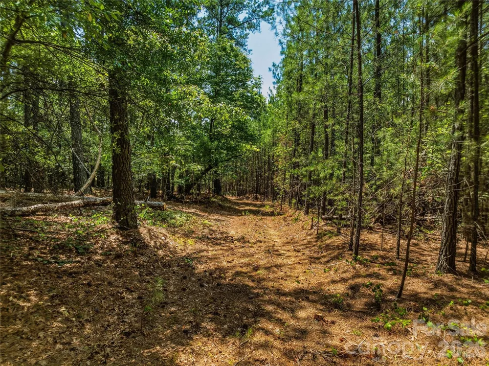 6783 Peniel Road Tryon, NC 28782