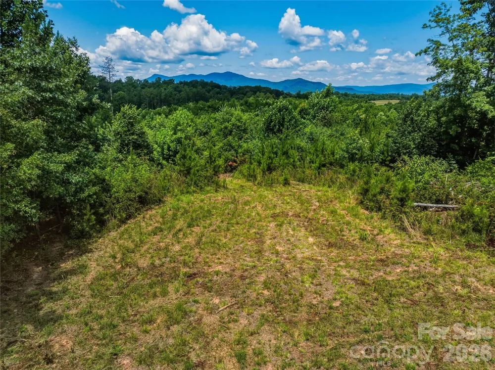 6783 Peniel Road Tryon, NC 28782