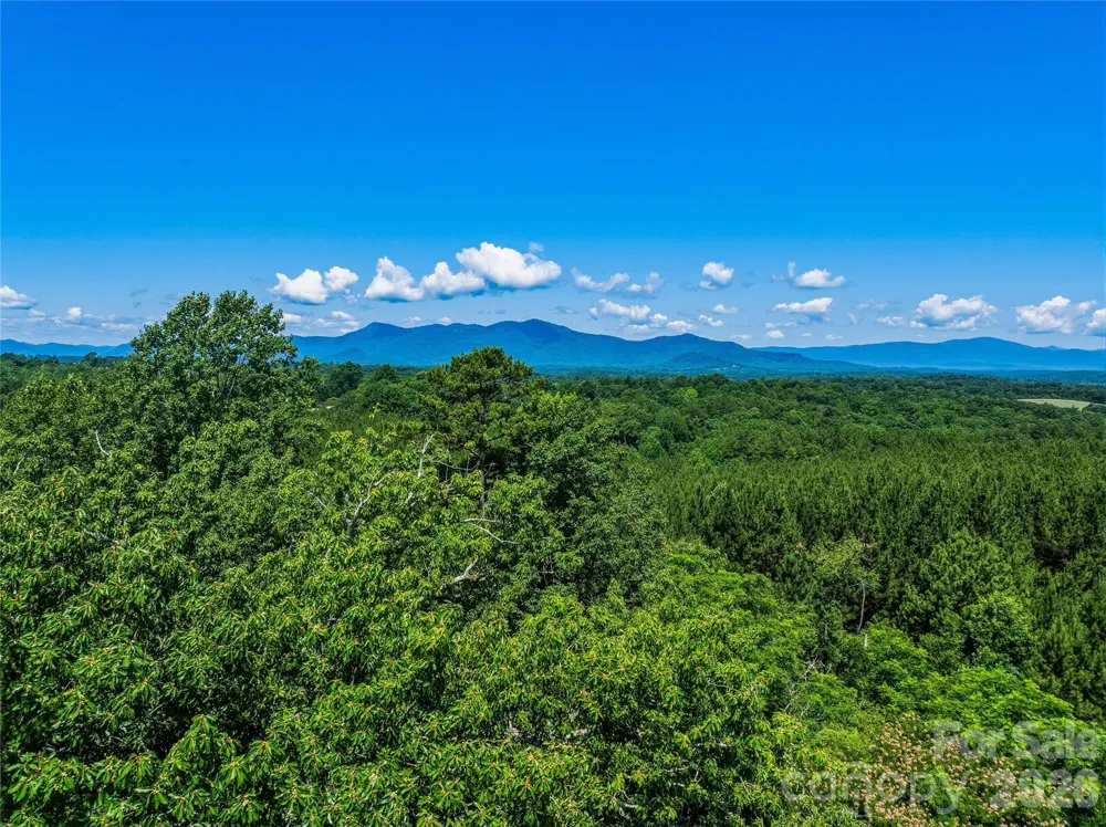 6783 Peniel Road Tryon, NC 28782