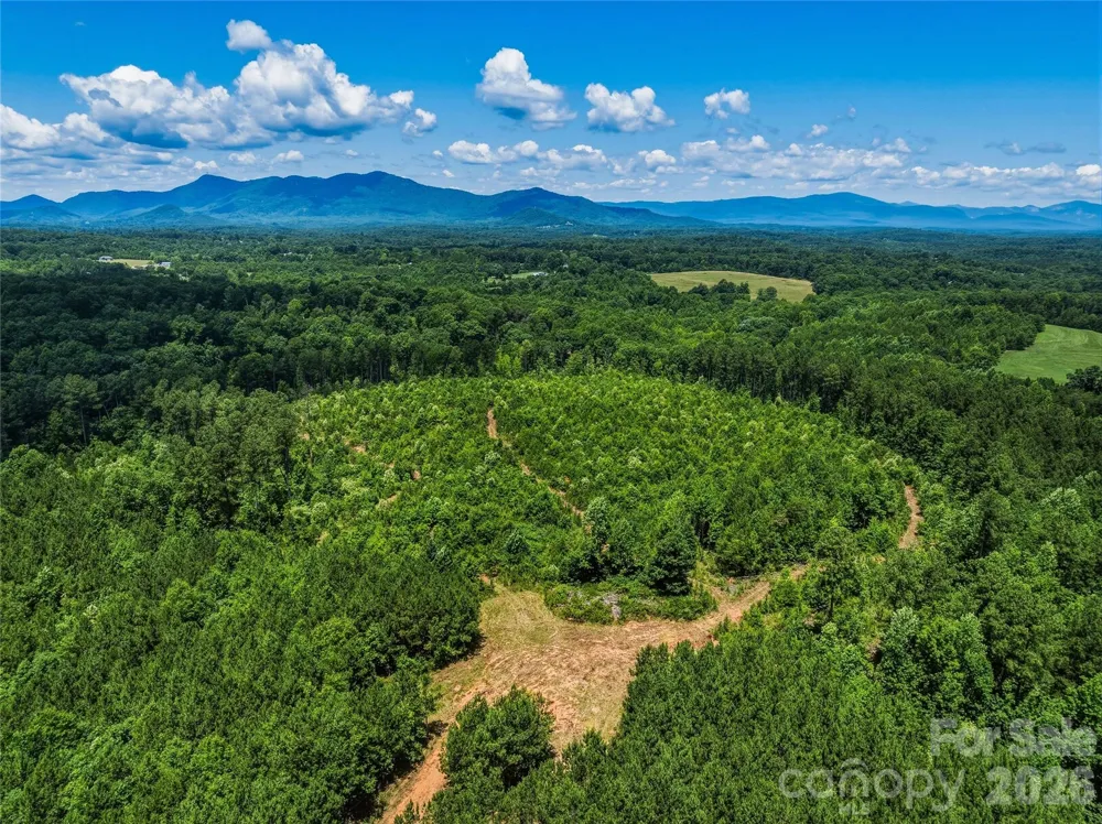 6783 Peniel Road Tryon, NC 28782