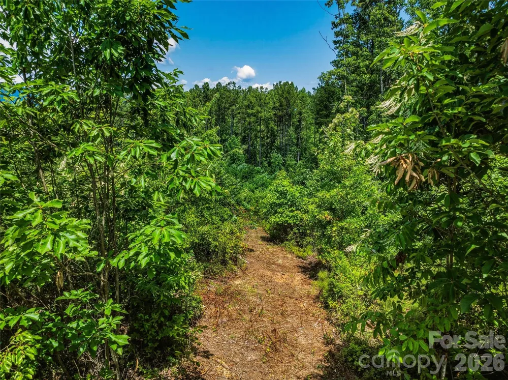 6783 Peniel Road Tryon, NC 28782