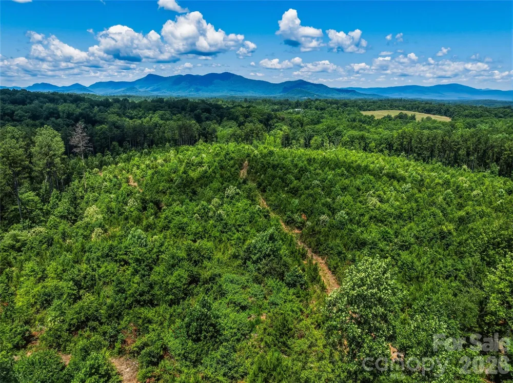 6783 Peniel Road Tryon, NC 28782
