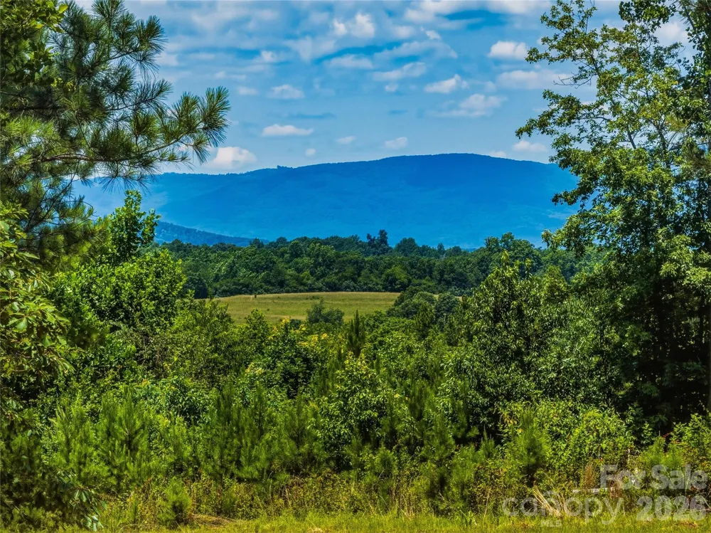 6783 Peniel Road Tryon, NC 28782