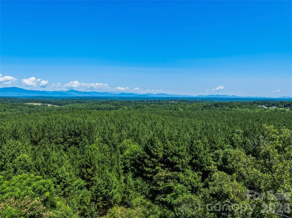 6783 Peniel Road Tryon, NC 28782