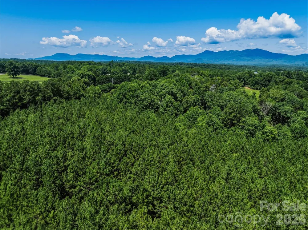 6783 Peniel Road Tryon, NC 28782